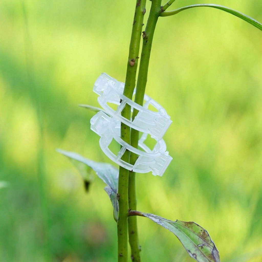 Giá Đỡ Hỗ Trợ Trồng Cây Dây Leo Bằng Nhựa Tái Sử Dụng Nhiều Màu Sắc