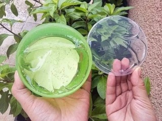GEL NHA ĐAM - LÔ HỘI
