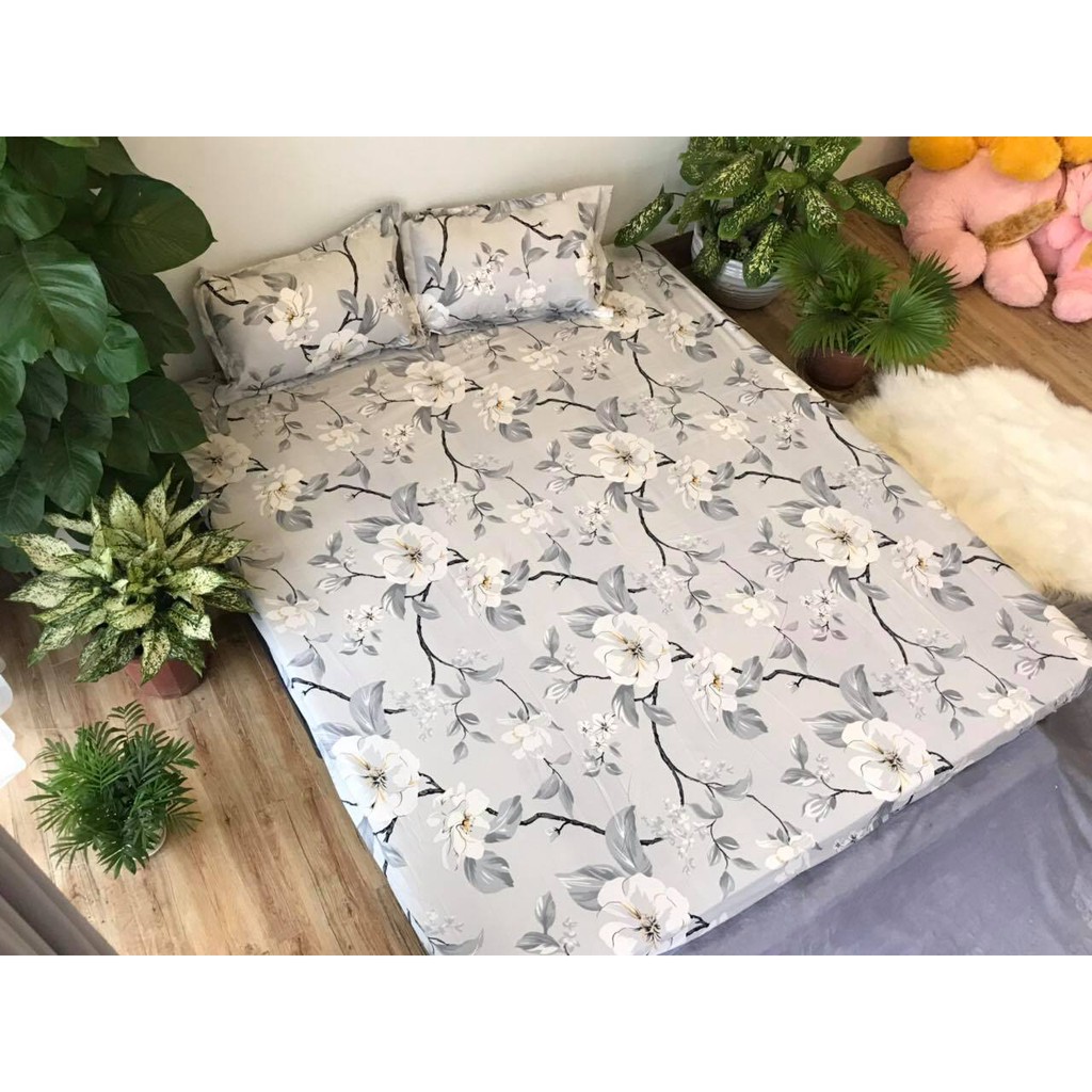 Bộ ga chun và 2 áo gối nằm Emmidecor - mẫu Hoa ghi, drap cotton poly