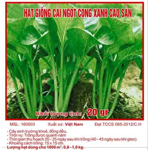 Hạt giống rau cải ngọt