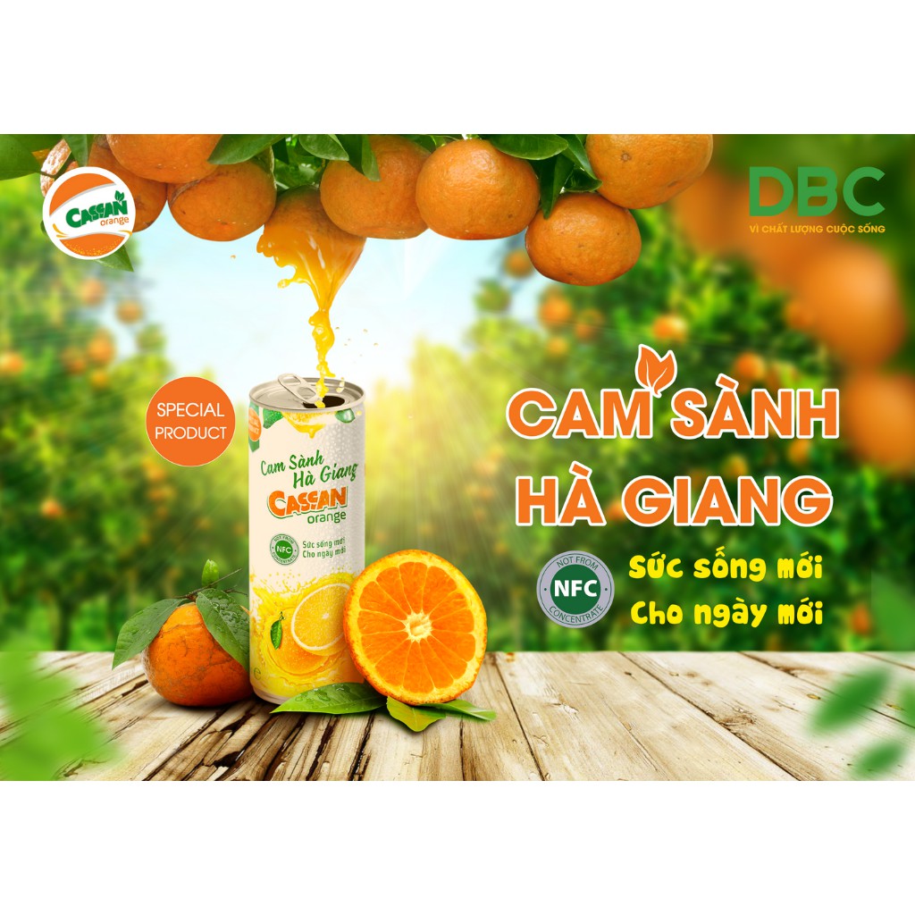 Nước Cam Sành Hà Giang DƯỢC BẢO CHÂU Từ Cam Nguyên Chất Tươi Ngon Lon 330ml