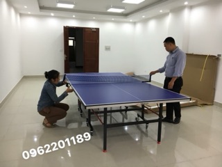 Bàn bóng bàn Doublefish 201V