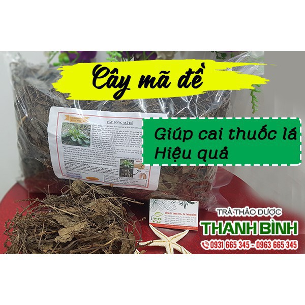 Cây Mã Đề Khô 100g - Thảo Dược Uy Tín - Hàng Công Ty