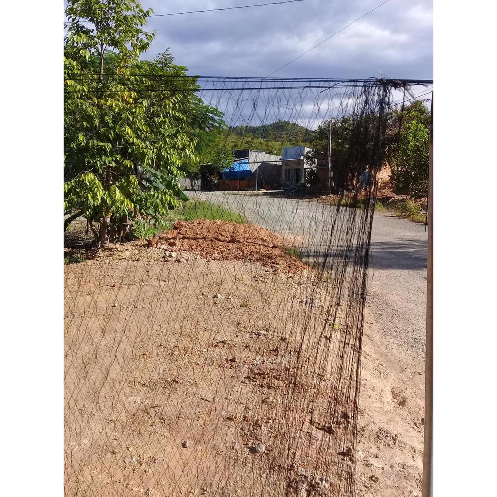 Lưới tàn hình đánh ri,khuyên,sẻ,chim sâu,hút mật,chào mào.Và các dòng chim nhỏ khác.