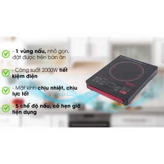 Bếp hồng ngoại Sanaky SNK-2101HG NEW 100%