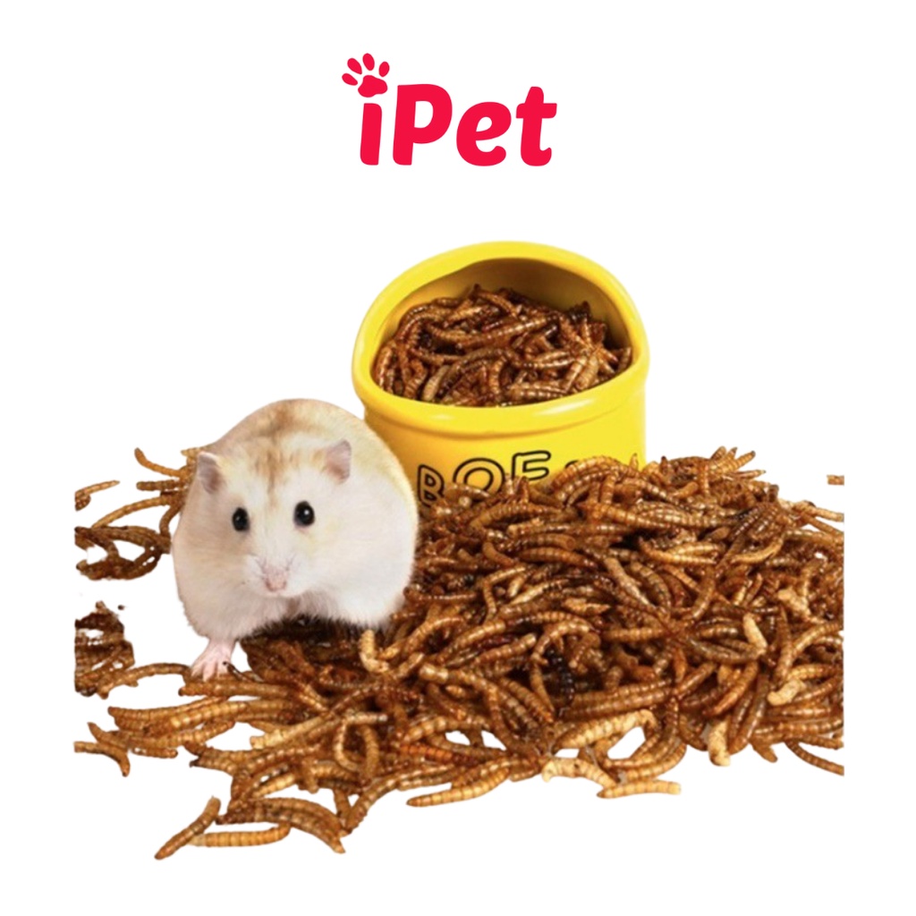 Thức Ăn Hamster - Sâu Sấy Dinh Dưỡng Cho Hamster - iPet Shop