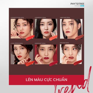 [HÀNG CHÍNH HÃNG] Son kem lỳ PHYTOTREE 24h Velvet Tint 6g | BigBuy360 - bigbuy360.vn