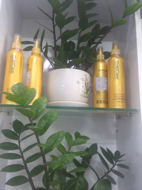 Xịt tóc goldcare | BigBuy360 - bigbuy360.vn