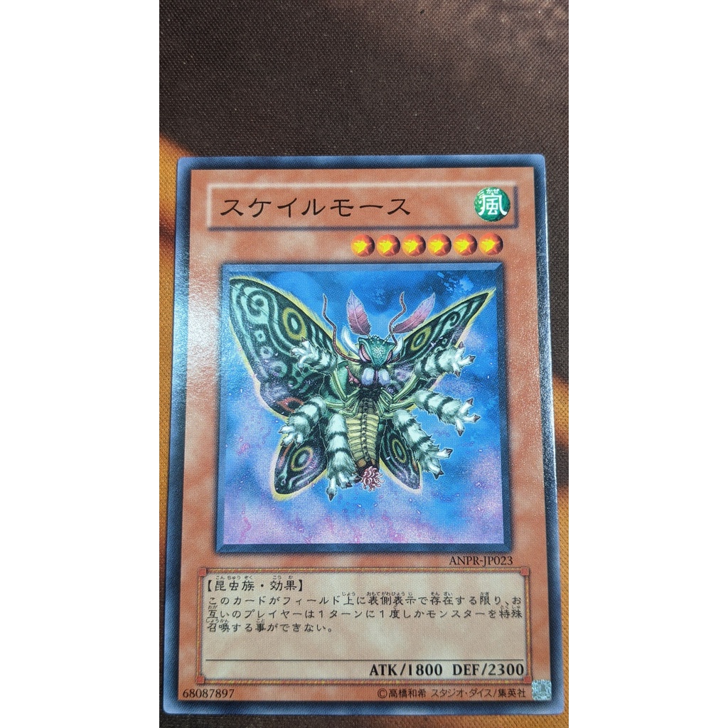 ANPR-JP023 Scary Moth - Common