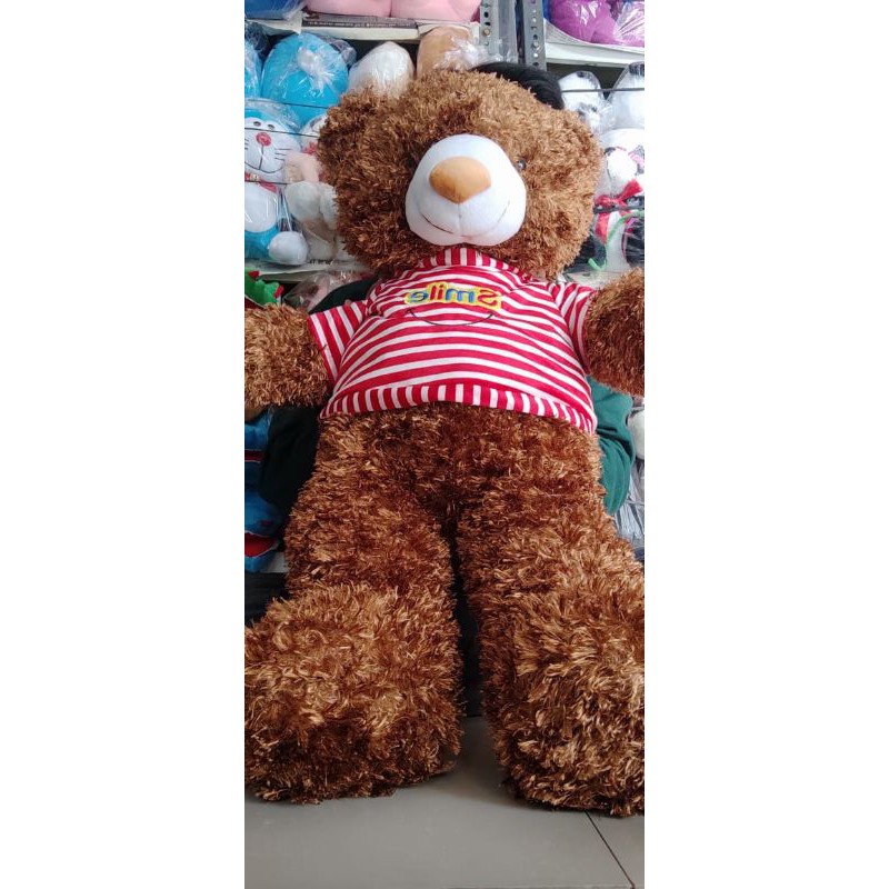 Bộ Quần Áo Hình Gấu Teddy Xinh Xắn Đáng Yêu