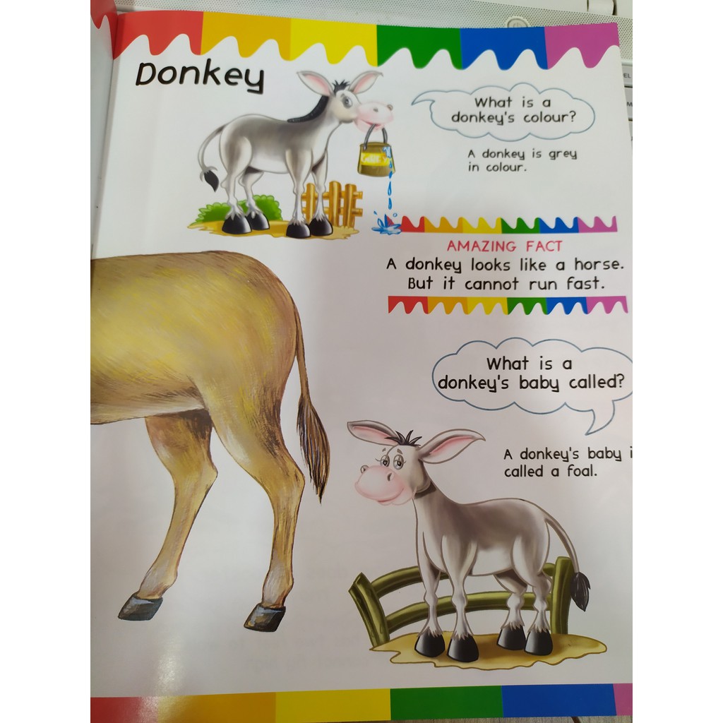 Sách - My First Questions & Answers - Farm Animals - 8935072923204 | BigBuy360 - bigbuy360.vn