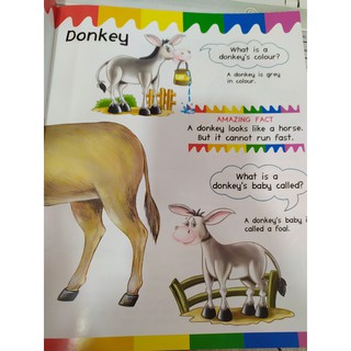 My First Questions & Answers - Farm Animals