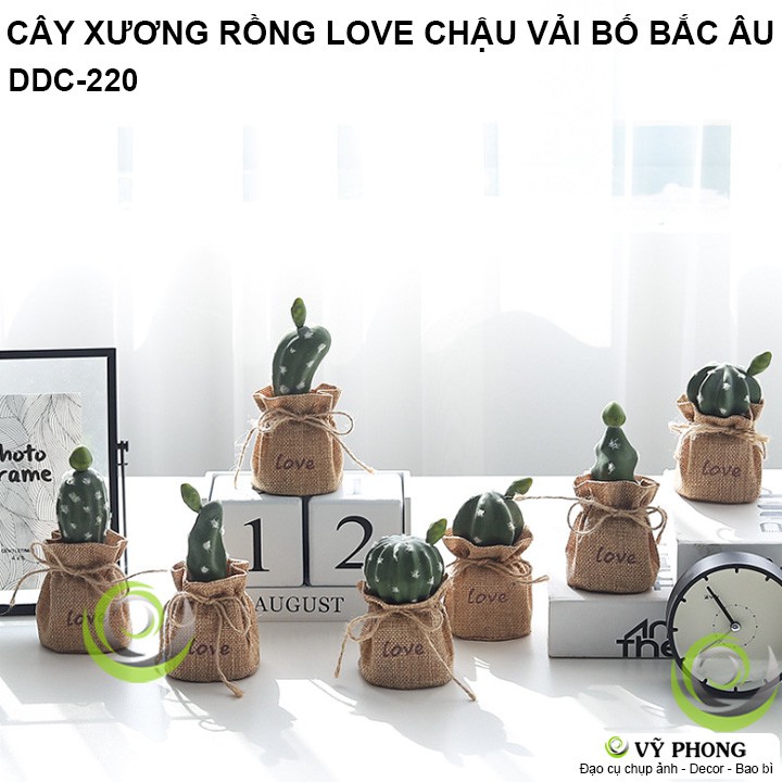 CÂY XƯƠNG RỒNG CHẬU VẢI BỐ CHẬU SEN ĐÁ MÔ PHỎNG NORDIC BẮC ÂU TRANG TRÍ DECOR ĐẠO CỤ CHỤP ẢNH SẢN PHẨM INS DDC-220