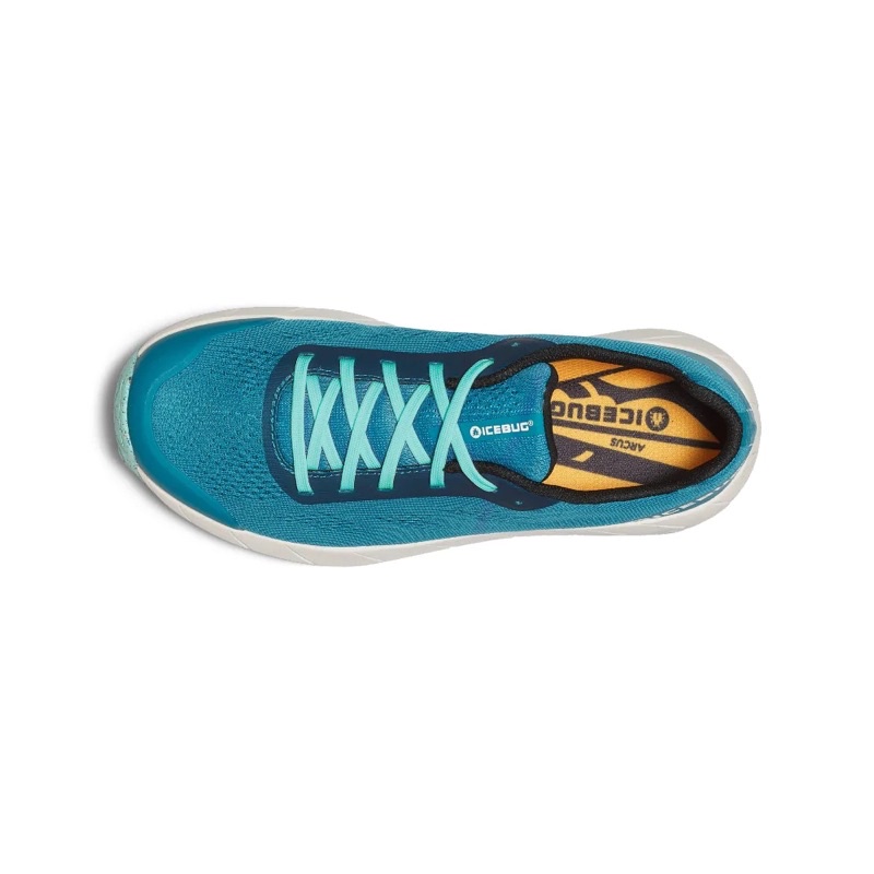 Giày leo núi chạy Trail Running Icebug chính hãng size 38/39