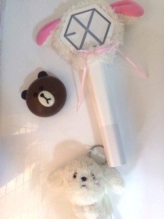 [EXO]Bọc lightstick- Lightstick cover