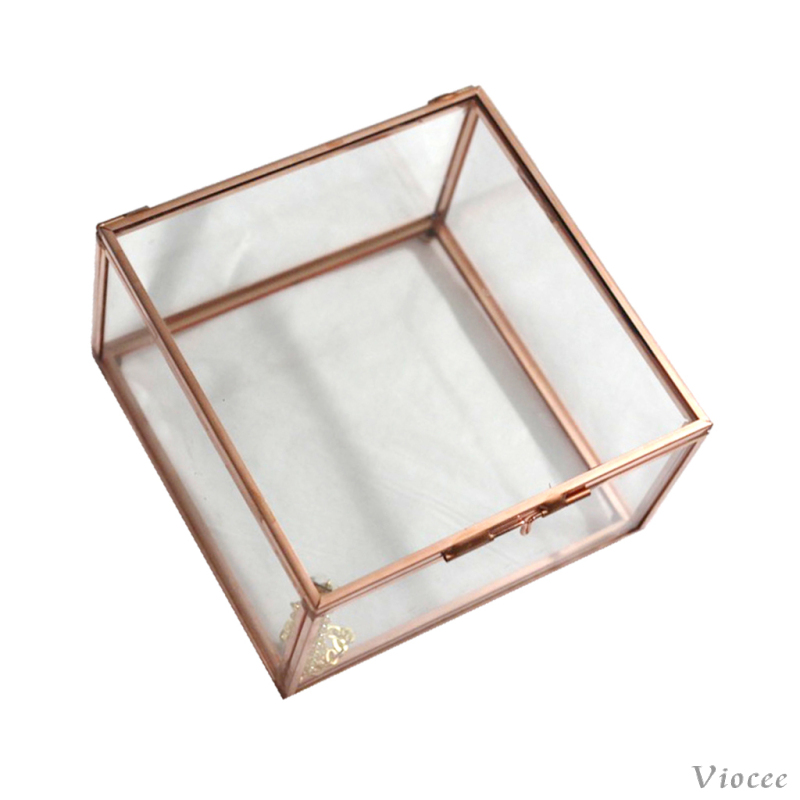 Modern Clear Glass Cuboid Geometric Terrarium Jewelry Box Succulent Plants Box