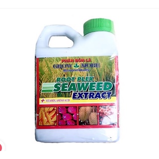 Phân bón hữu cơ rong biển root plex seaweed extract usa - 500ml dịch chiết từ nguồn rong biển tự nhiên