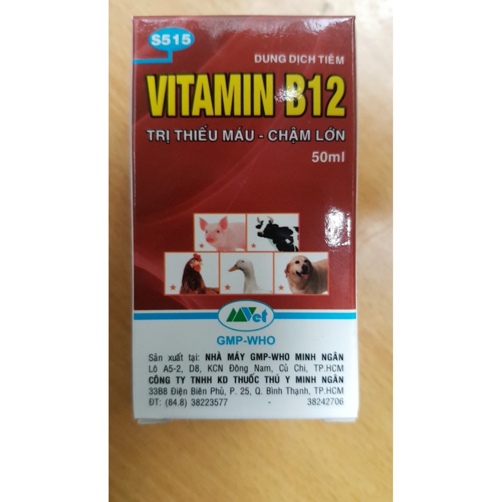 [FREESHIP TỪ 50K] Vitamin B12 cho cây cảnh, phong lan 50ml