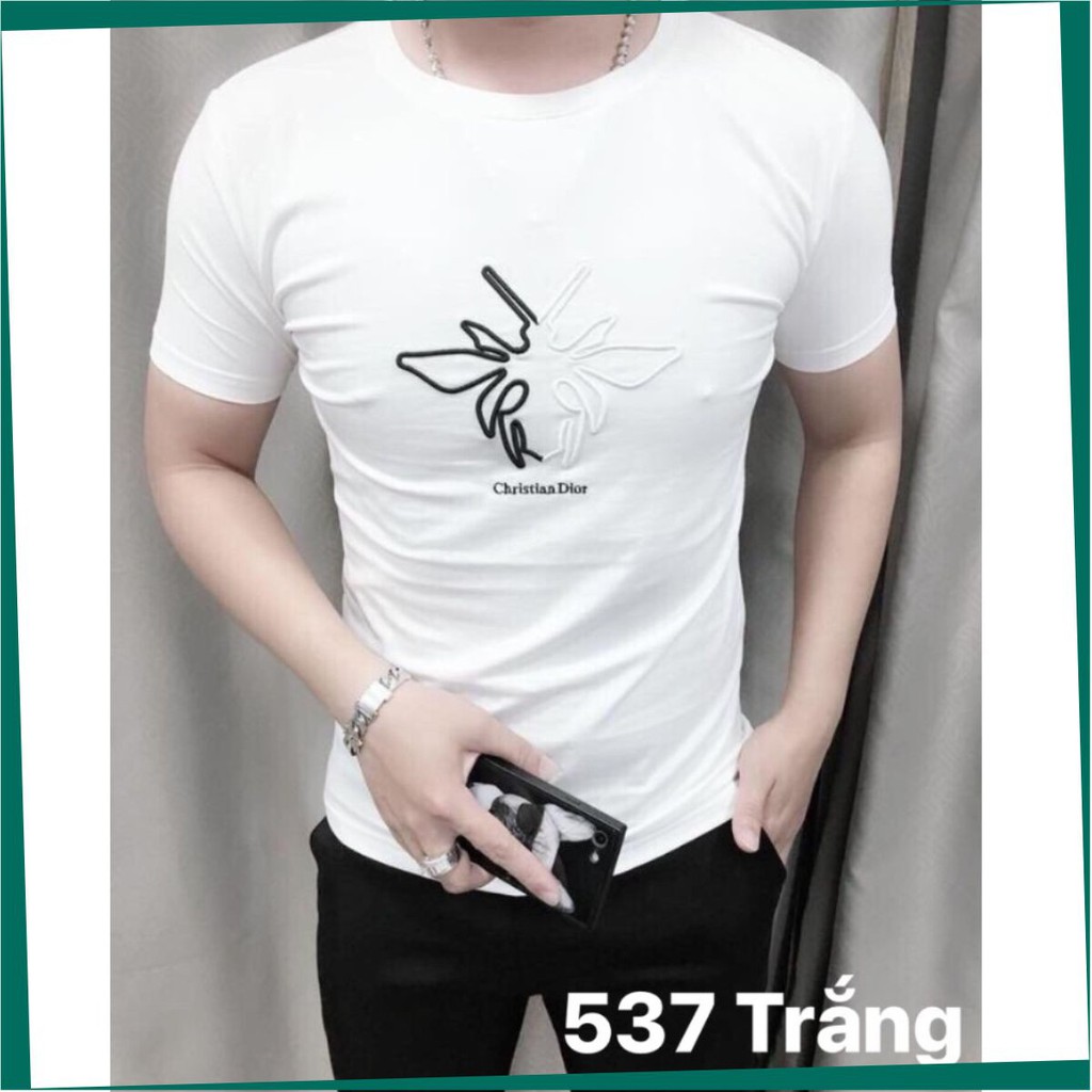 Áo Thun Nam 💙FREESHIP💙 Phông Nam Body Tay Ngắn Cổ Tròn Cao Cấp Mã: S537