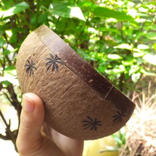 Gáo dừa chưng trầu bà, cây thủy sinh khắc laze hình cây dừa và các hình khác. Phối giữa chà láng  và nhám rất sinh động#