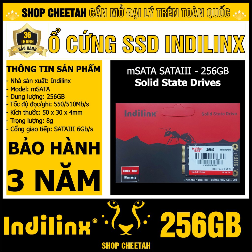 Ổ cứng SSD Msata Indilinx 256GB – CHÍNH HÃNG – Bảo hành 3 năm