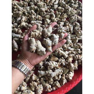 Củ Tam Thất Khô - Tam Thất Bắc Hà Giang