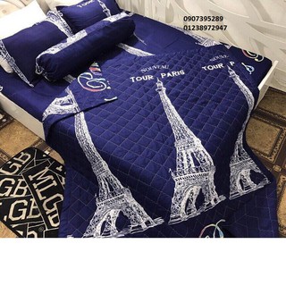 CHĂN CHẦN BÔNG COTTON POLY CHỌN MẪU