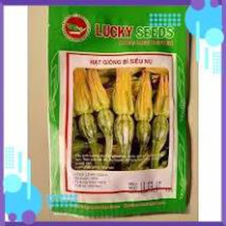 HẠT GIỐNG BÍ SIÊU NỤ GÓI 10 GRAM