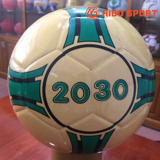 QUẢ BÓNG ĐÁ GERU STAR FUTSAL 2030