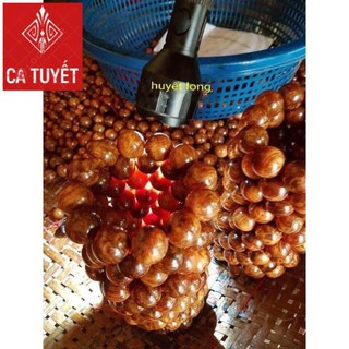 Vòng tay gỗ huyết long cao cấp