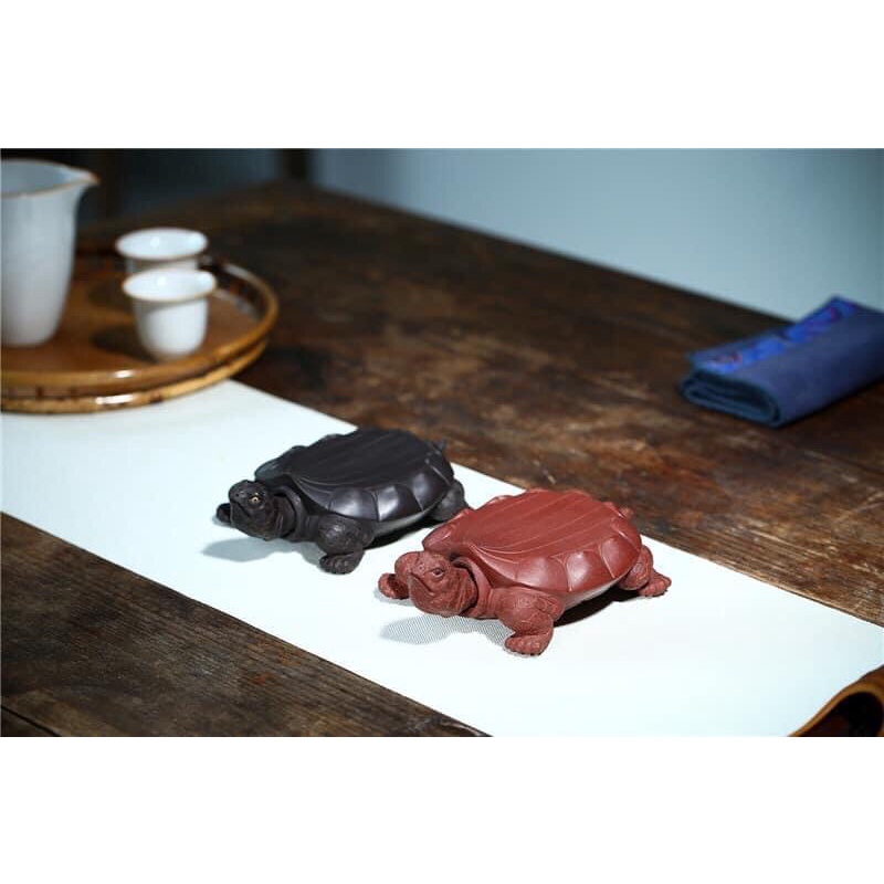 Rùa cõng ấm trà- đầu rục rịch: thục ra thục vô.