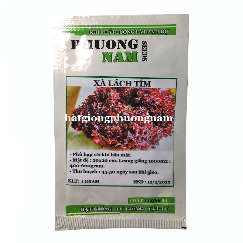  0,5GR - HẠT GIỐNG XÀ LÁCH TÍM