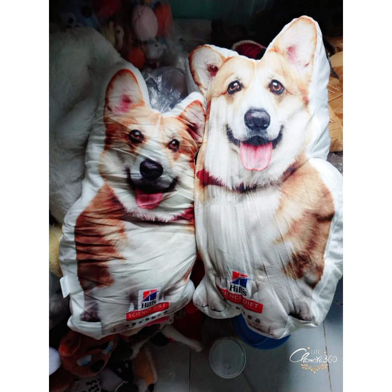 Gấu bông cor bé quân 22