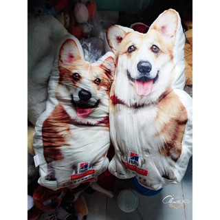Gấu bông cor bé quân 22