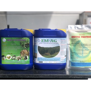 Combo Vi Sinh Ủ Phân Cá Dùng Cho Cây Trồng (Gồm 5 lít EM Gốc + 5 lít Mật Rỉ Đường + 0.5kg Men Ủ Phân Cá Protease)