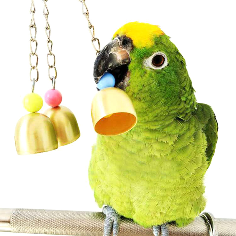 Set 7 Đồ Chơi Dành Cho Vẹt