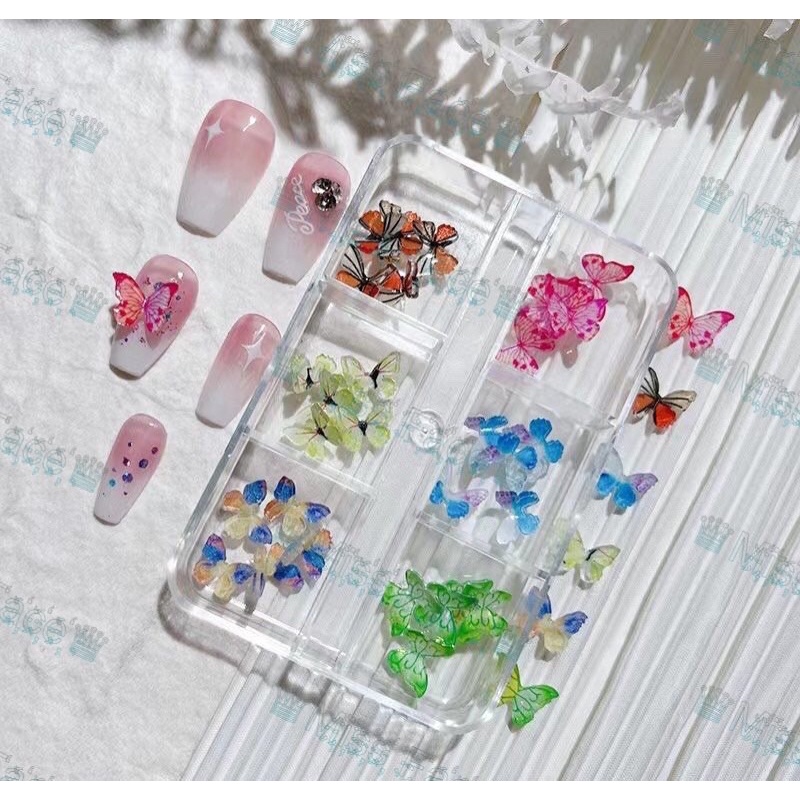 Khay charm buom mix mẫu