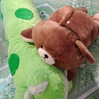 Gau cua nhim