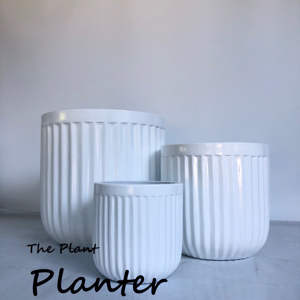 Chậu trồng cây xi măng DT034