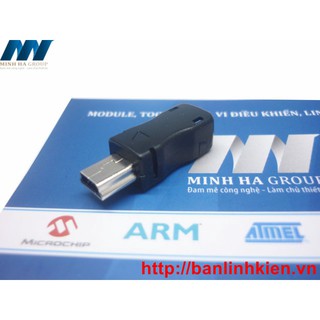 Đầu Jack MiniUSB Đực