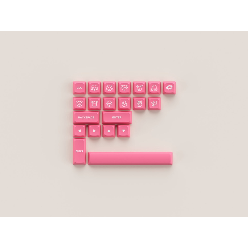 Bộ keycap phím cơ AKKO Keycap set – Prunus Lannesiana (PBT Double-Shot/ ASA Low profile/ 155 nút)