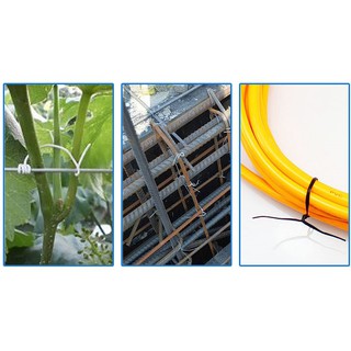 Dây buộc hoa lan, cây cảnh màu xanh có dao cắt 70m