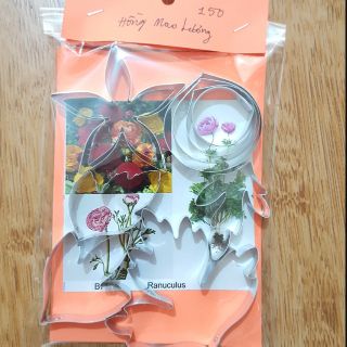 KHUÔN HỒNG MAO LƯƠNG