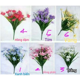 Hoa Giả - Hoa Thủy Tiên