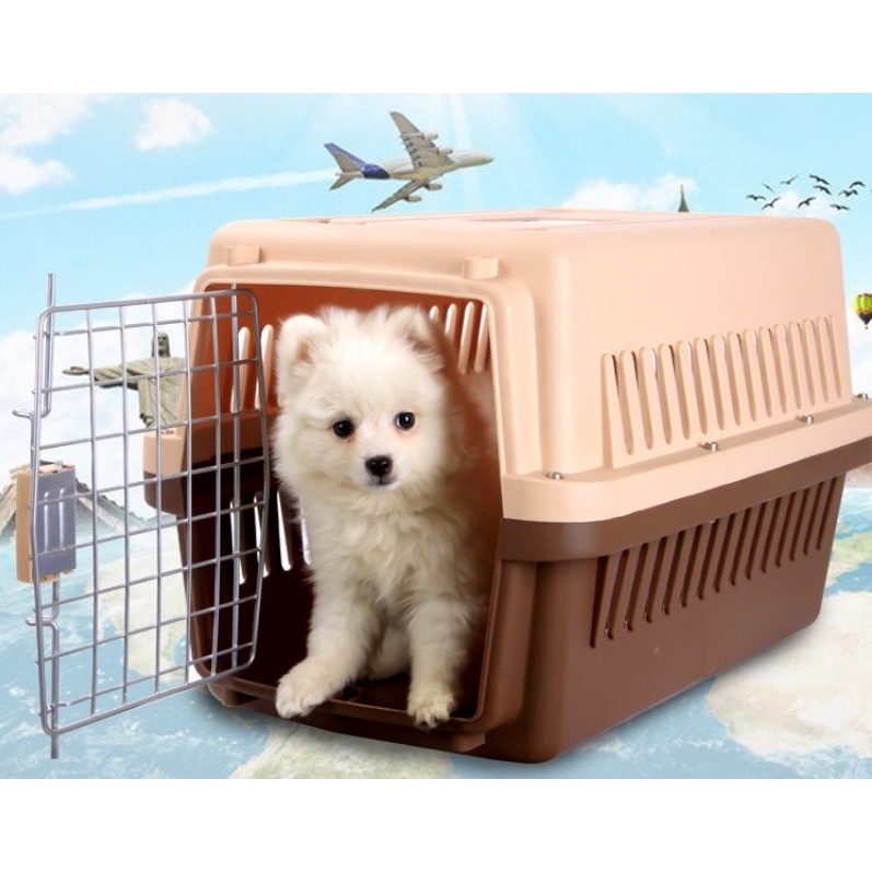 Lồng Vận Chuyển Chó Mèo Cửa Sắt, Lồng Vận Chuyển Chó Mèo Đi Hàng Không, Chất Liệu Nhựa Tốt