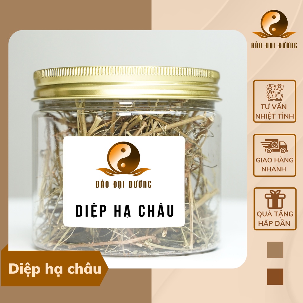 Diệp Hạ Châu Bảo Đại Đường Hỗ Trợ Thông Huyết Hạ Mỡ Máu Thanh Nhiệt Giải Độc Cho Gian 500g