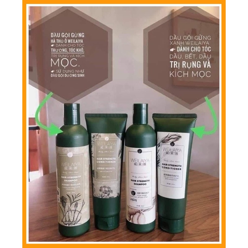 Dầu gội gừng Weilaya phiên bản mới kèm set mini