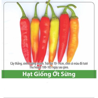 Hạt Giống Ớt Sừng Dễ Trồng, Sai Trái 0.1gr