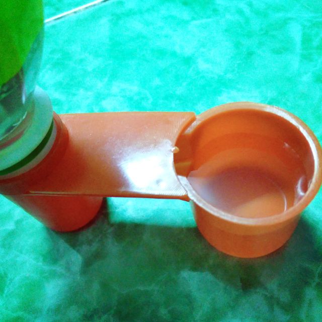 Máng uống cho gà con