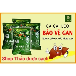 200 Túi lọc trà cà gai leo Sadu (1kg-200 túi lọc)